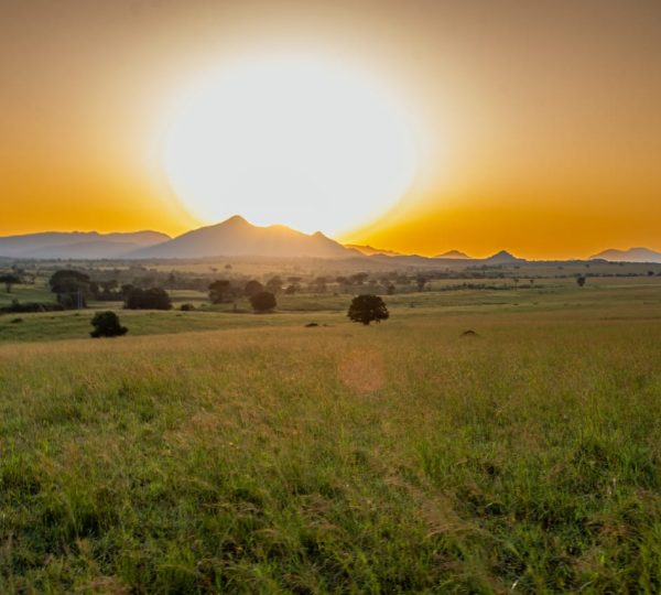 Queen Elizabeth National Park