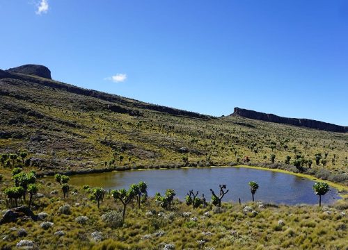 Mount Elgon National Park