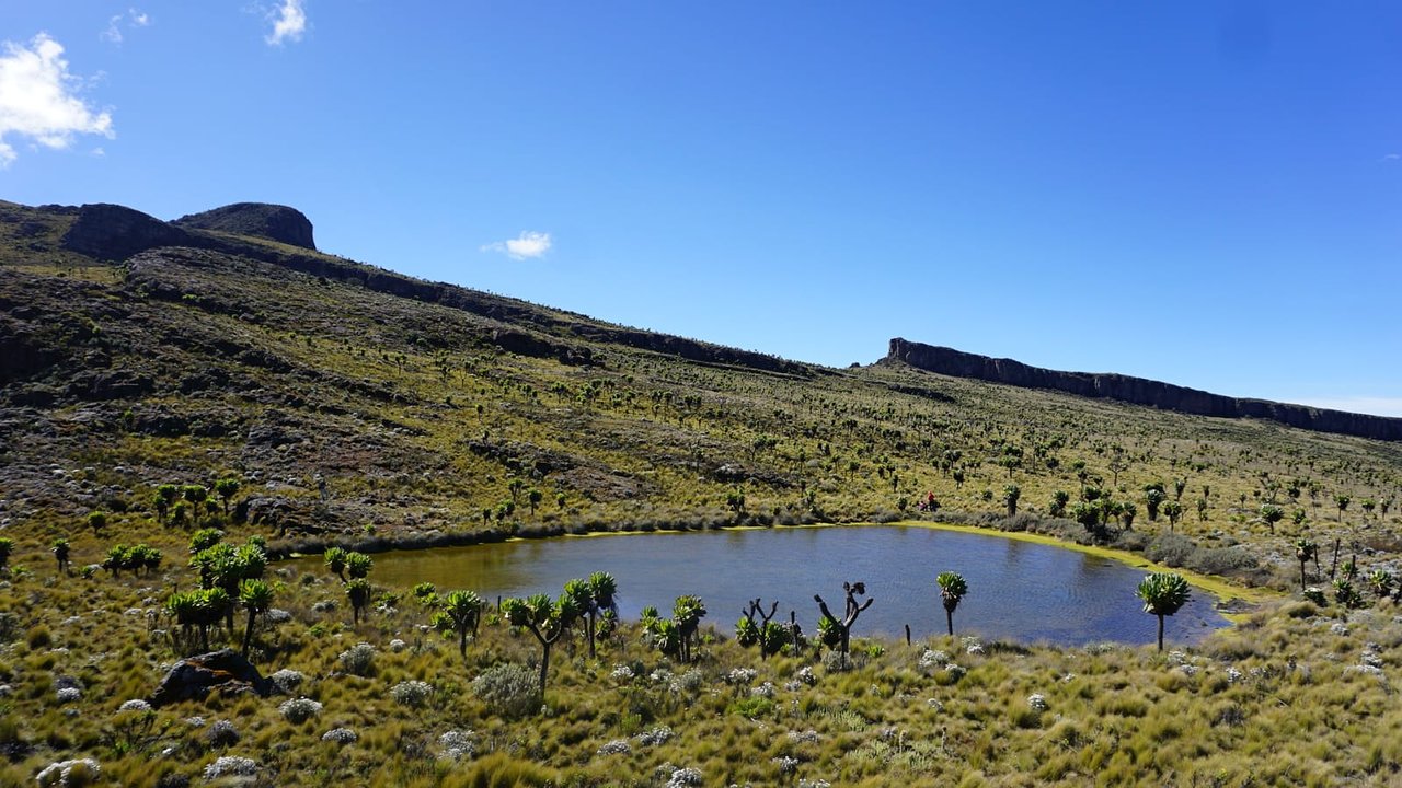 elgon mountain