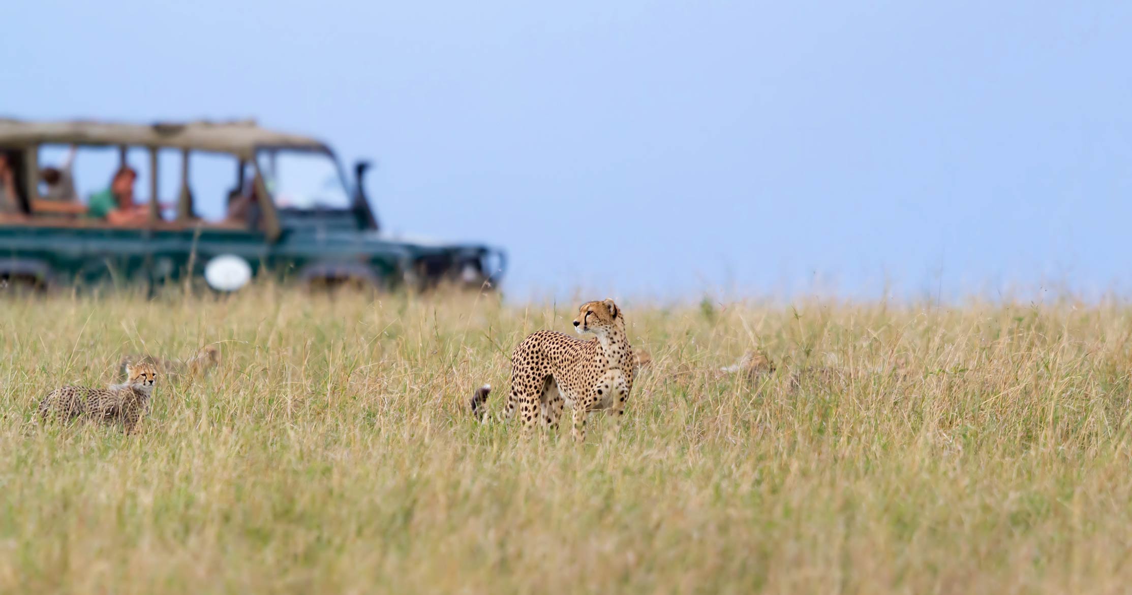 Tanzania