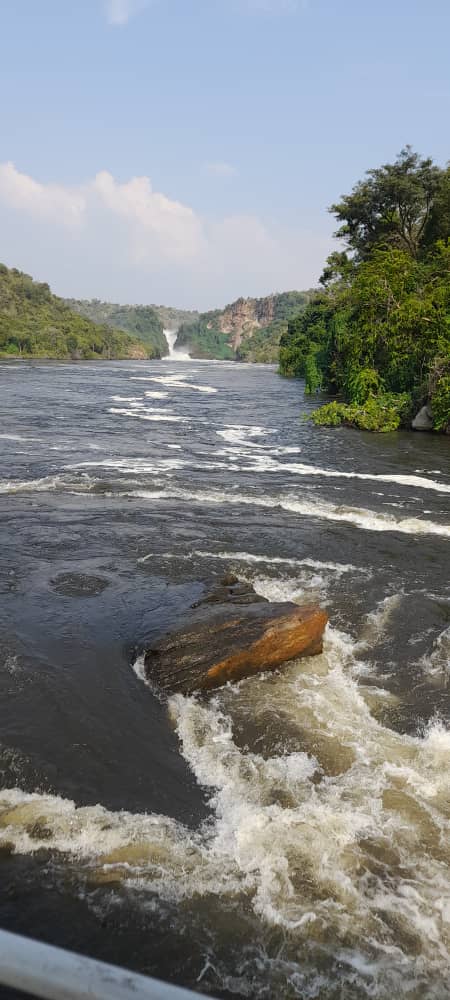 murchison falls